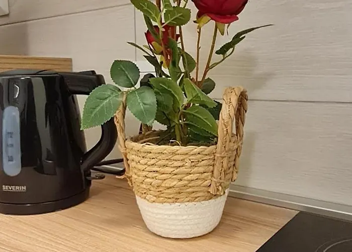 Apartment Gruppo Aedes Alghero, Residenza Lido - 80 Mt Dalla